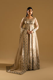 Beige Embroidered Tissue Maxi Pakistani Dress