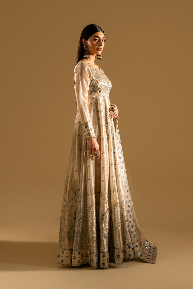 Beige Embroidered Tissue Maxi Pakistani Dress