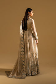 Beige Embroidered Tissue Maxi Pakistani Dress