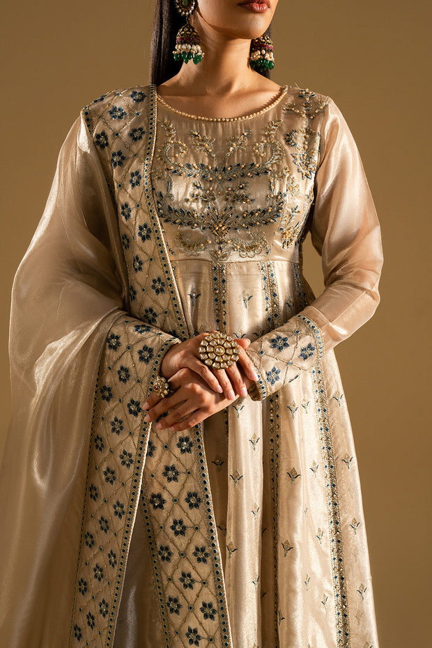 Beige Embroidered Tissue Maxi Pakistani Dress