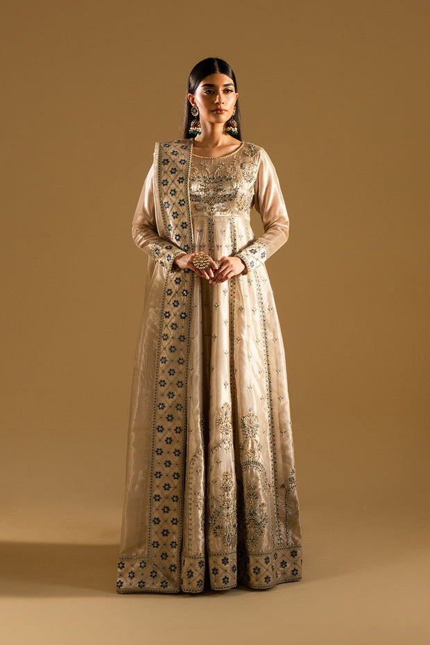 Beige Embroidered Tissue Maxi Pakistani Dress