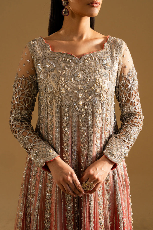 Silver Embroidered Net Ensemble Pakistani Party Dress
