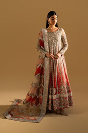 Silver Embroidered Net Ensemble Pakistani Party Dress