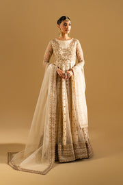 White Embroidered Net Maxi Pakistani Designer Dress