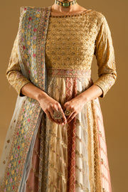 Gold Embroidered Net Gown Pakistani Party Dress