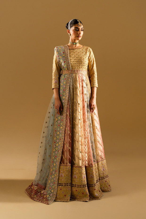 Gold Embroidered Net Gown Pakistani Party Dress