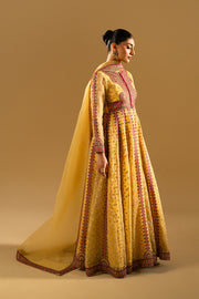 Magenta Embroidered Organza Gown Pakistani Designer Dress