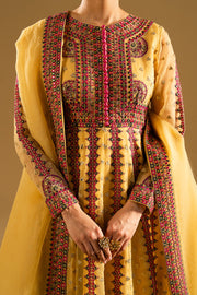Magenta Embroidered Organza Gown Pakistani Designer Dress