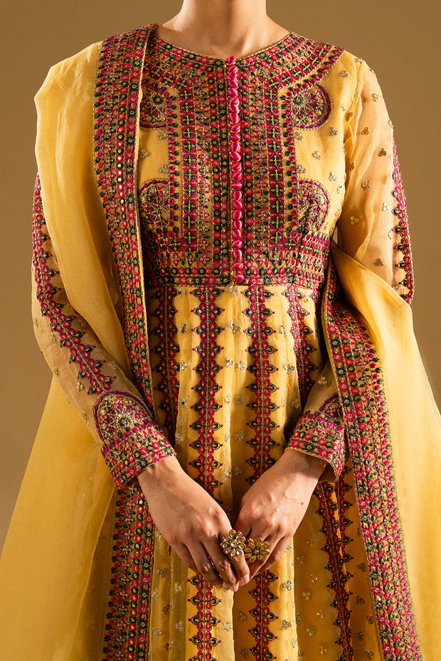 Magenta Embroidered Organza Gown Pakistani Designer Dress