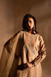 Grey Embroidered Ensemble Pakistani Designer Dress