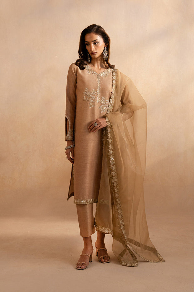 Grey Embroidered Ensemble Pakistani Designer Dress