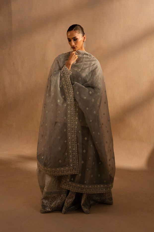 Elegant Embroidered Pakistani Dress Ensemble