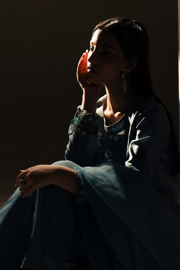 Blue Embroidered Organza Ensemble Pakistani Party Dress