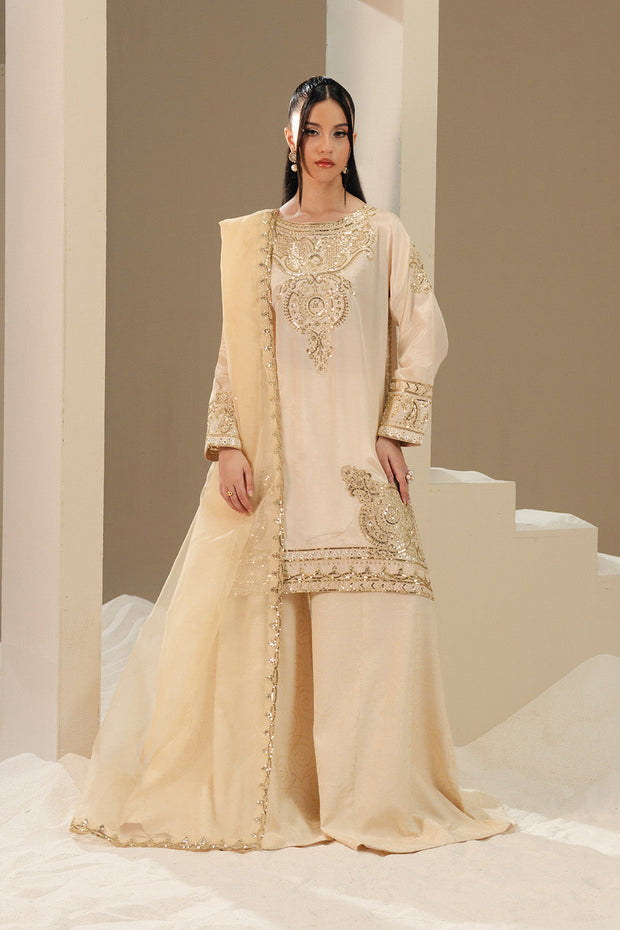 Grey Embroidered Silk Ensemble Pakistani Designer Dress Xlarge