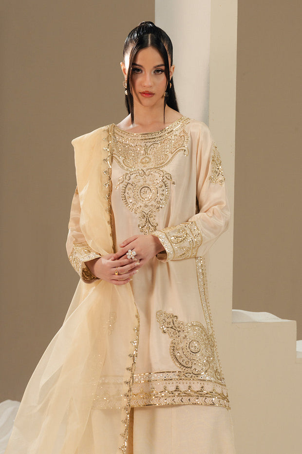 Grey Embroidered Silk Ensemble Pakistani Designer Dress