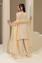 Grey Embroidered Silk Ensemble Pakistani Designer Dress