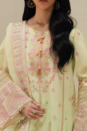 Green Embroidered Organza Ensemble With Dupatta Pakistani