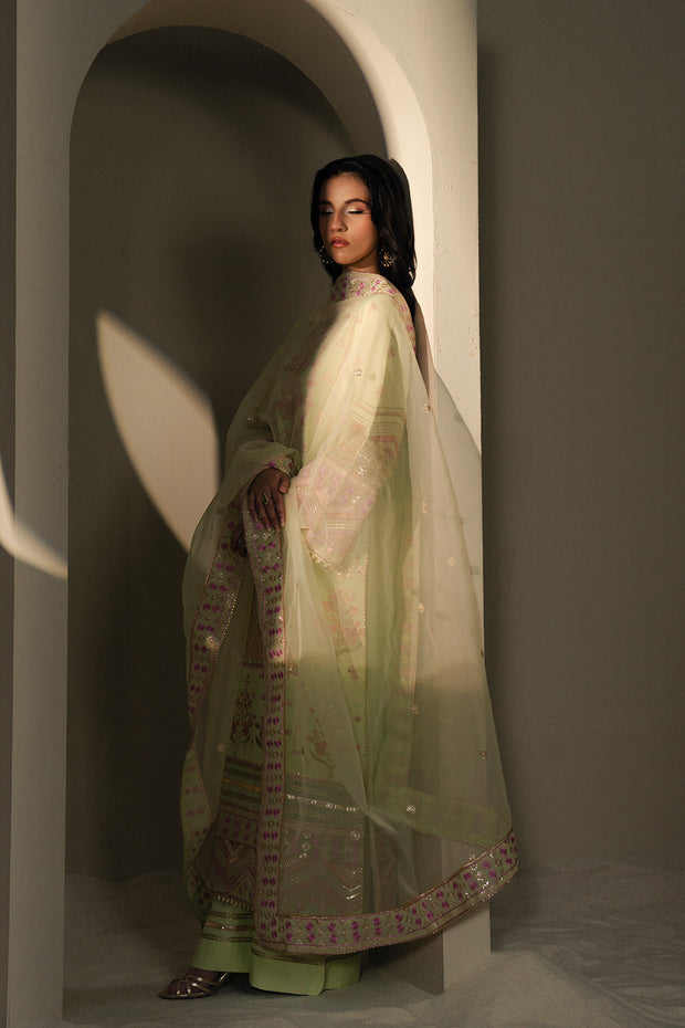 Green Embroidered Organza Ensemble With Dupatta Pakistani