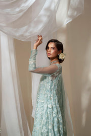Silver Embroidered Ensemble Pakistani Dress