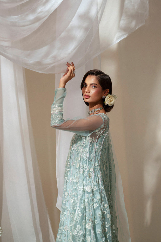 Silver Embroidered Ensemble Pakistani Dress