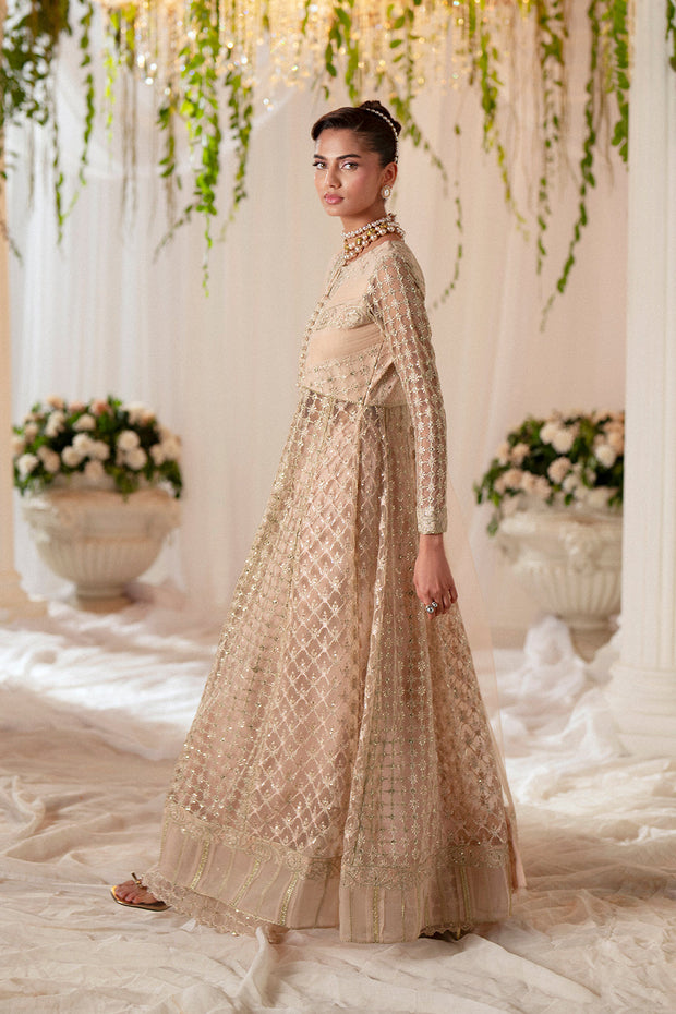 Peach Embroidered Net Gown Pakistani Designer Dress