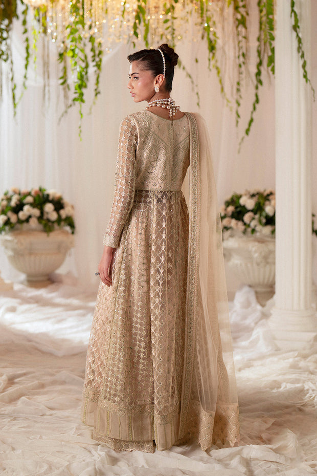 Peach Embroidered Net Gown Pakistani Designer Dress
