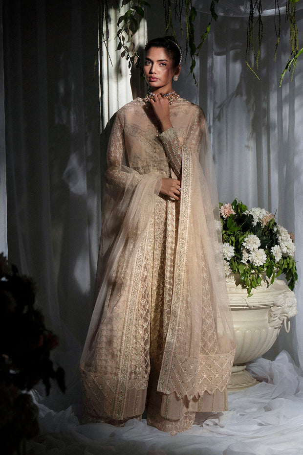 Peach Embroidered Net Gown Pakistani Designer Dress