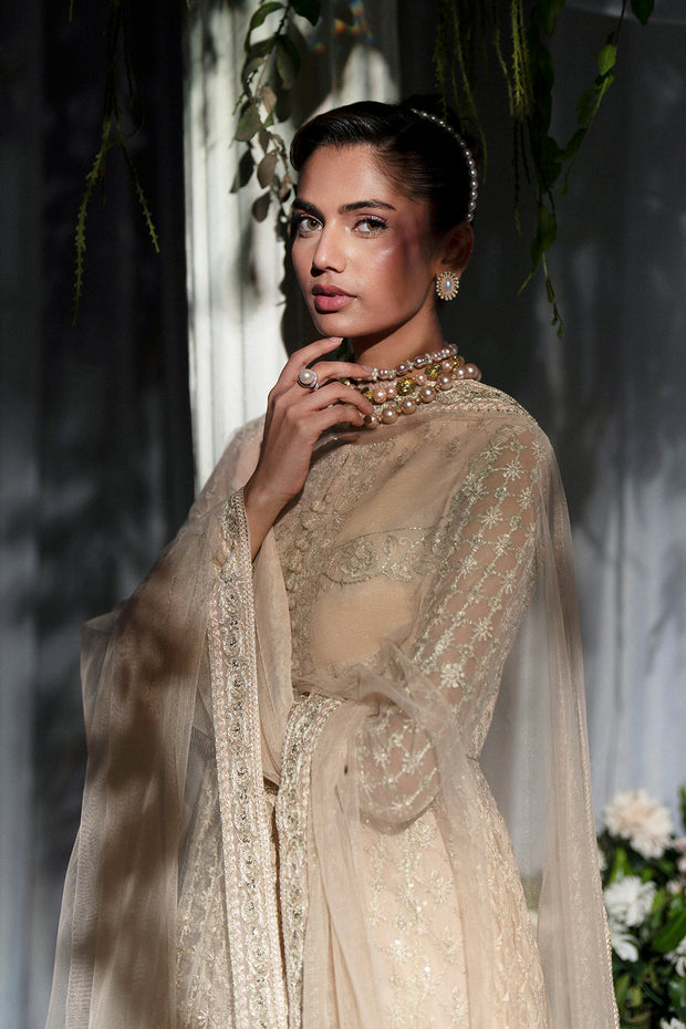 Peach Embroidered Net Gown Pakistani Designer Dress