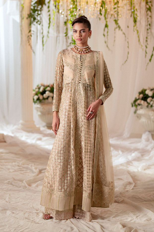 Peach Embroidered Net Gown Pakistani Designer Dress