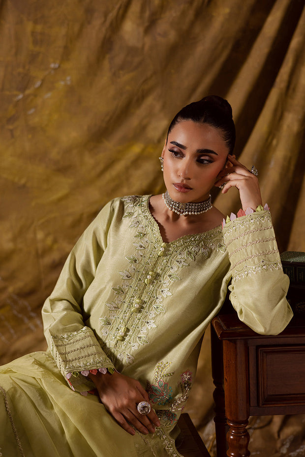 Lime Embroidered Organza Ensemble With Dupatta Pakistani Party