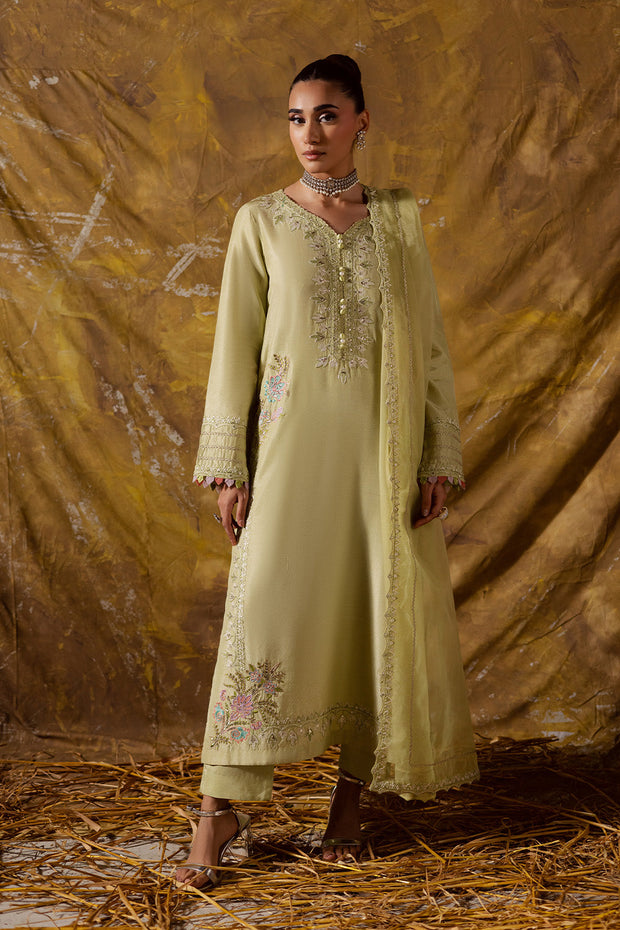 Lime Embroidered Organza Ensemble With Dupatta Pakistani Party