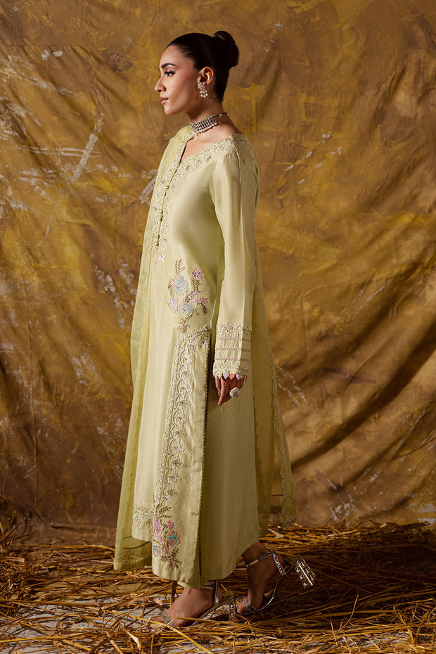 Lime Embroidered Organza Ensemble With Dupatta Pakistani Party
