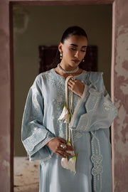 Grey Embroidered Organza Ensemble With Dupatta Pakistani Dress
