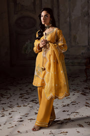 Charcoal Embroidered Organza Ensemble With Dupatta Pakistani
