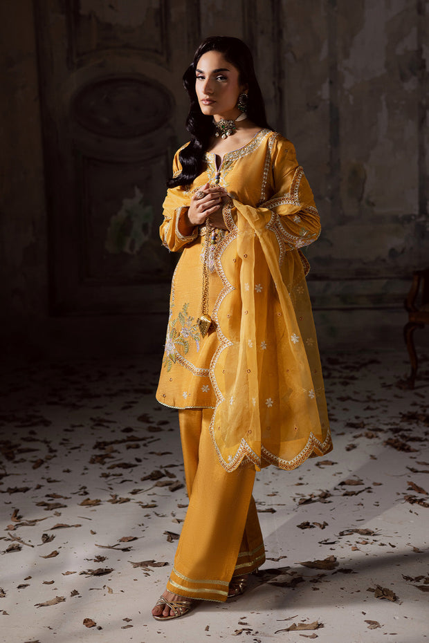 Charcoal Embroidered Organza Ensemble With Dupatta Pakistani