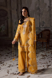 Charcoal Embroidered Organza Ensemble With Dupatta Pakistani