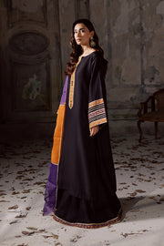 Black Embroidered Organza Ensemble With Dupatta Pakistani Dress
