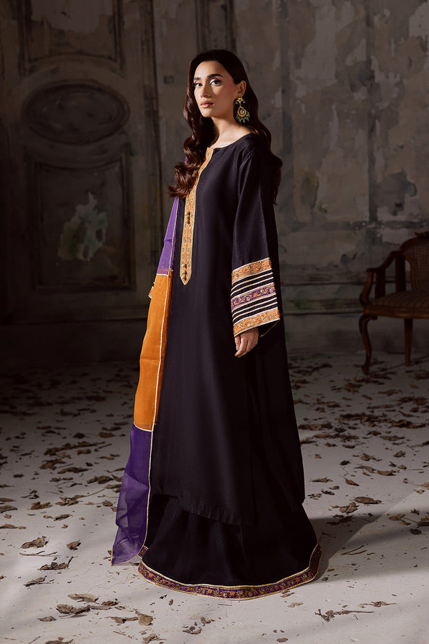 Black Embroidered Organza Ensemble With Dupatta Pakistani Dress