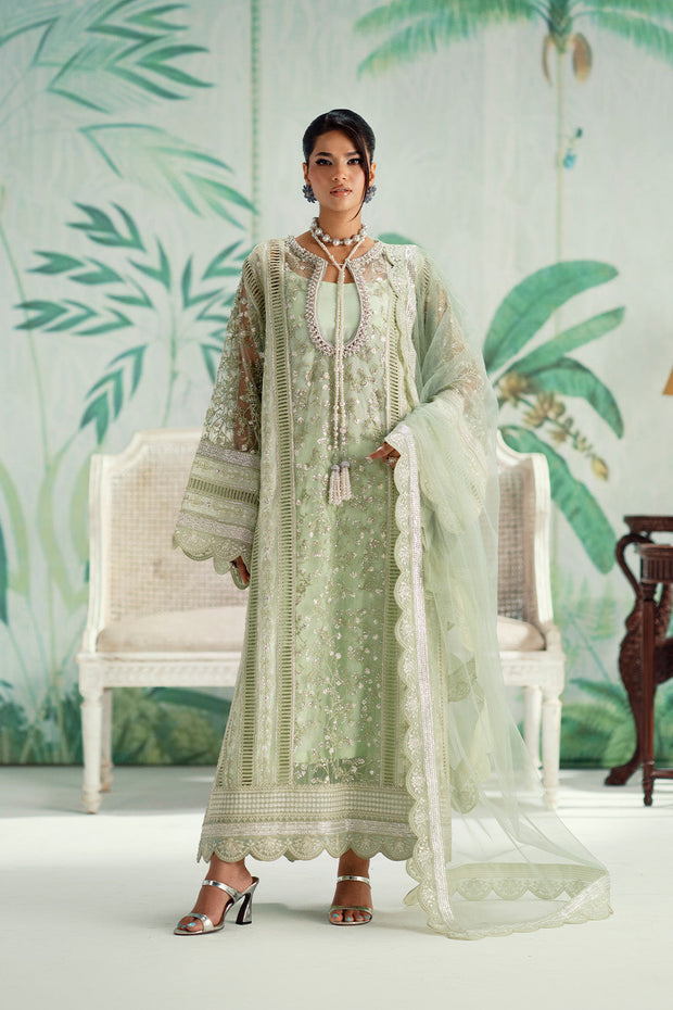 Green Embroidered Net Ensemble Pakistani Designer Dress