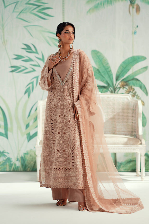 Beige Embroidered Organza Ensemble Pakistani Designer Dress