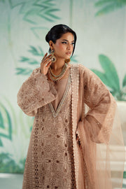 Beige Embroidered Organza Ensemble Pakistani Designer Dress