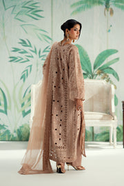 Beige Embroidered Organza Ensemble Pakistani Designer Dress