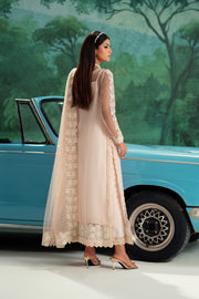 Pink Embroidered Net Ensemble Pakistani Dress
