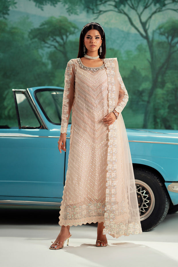 Pink Embroidered Net Ensemble Pakistani Dress