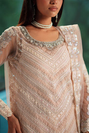 Pink Embroidered Net Ensemble Pakistani Dress