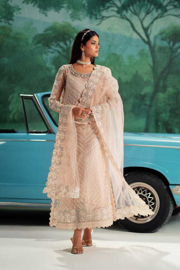 Pink Embroidered Net Ensemble Pakistani Dress
