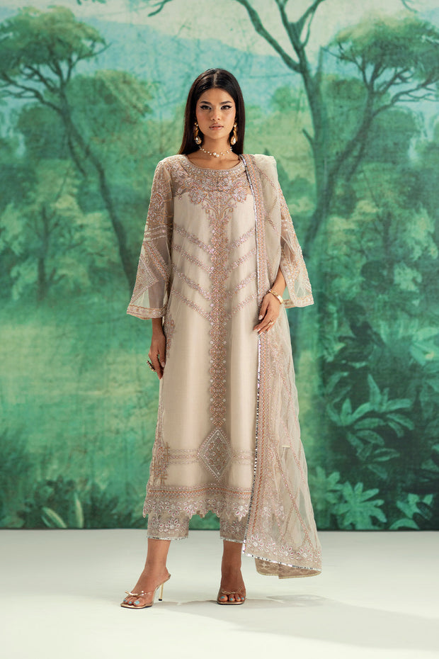 Silver Embroidered Net Ensemble Pakistani Designer Dress
