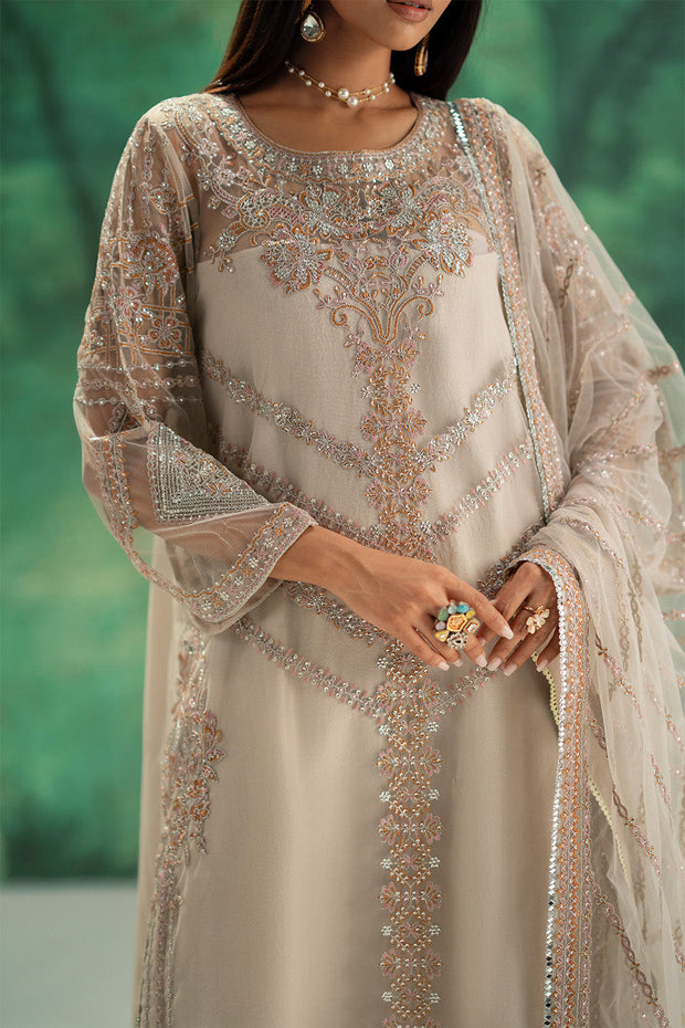 Silver Embroidered Net Ensemble Pakistani Designer Dress