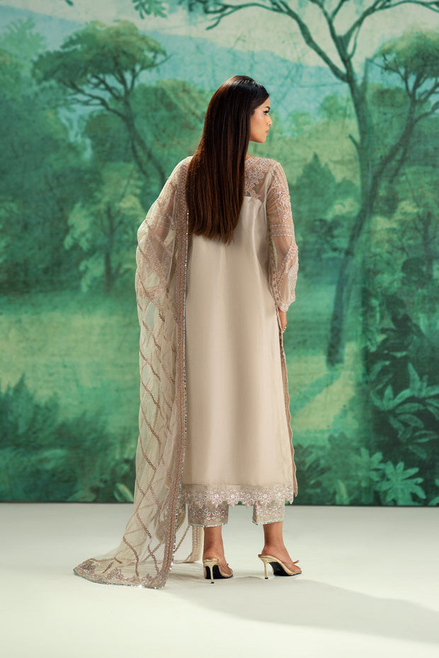 Silver Embroidered Net Ensemble Pakistani Designer Dress