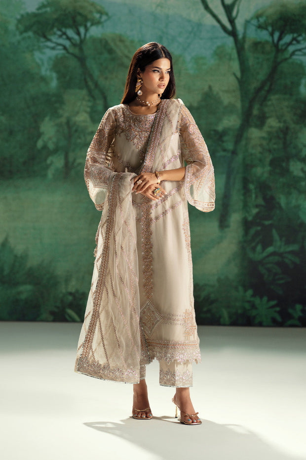 Silver Embroidered Net Ensemble Pakistani Designer Dress